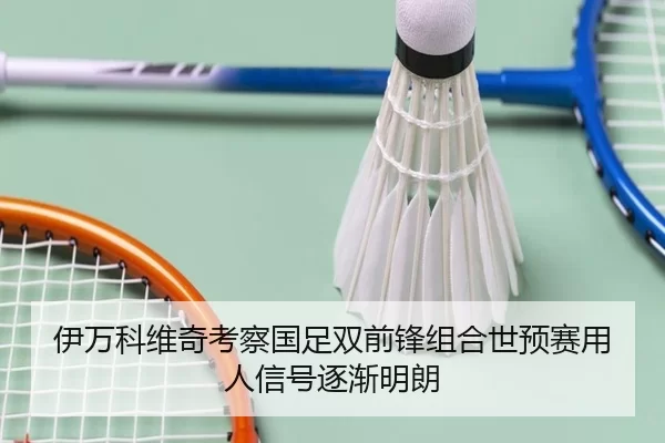 伊万科维奇考察国足双前锋组合世预赛用人信号逐渐明朗